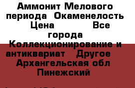 Аммонит Мелового периода. Окаменелость. › Цена ­ 2 800 - Все города Коллекционирование и антиквариат » Другое   . Архангельская обл.,Пинежский 